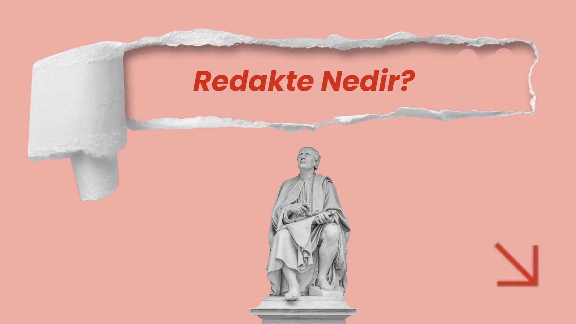 redakte nedir